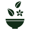 icons8-ayurvedic-100